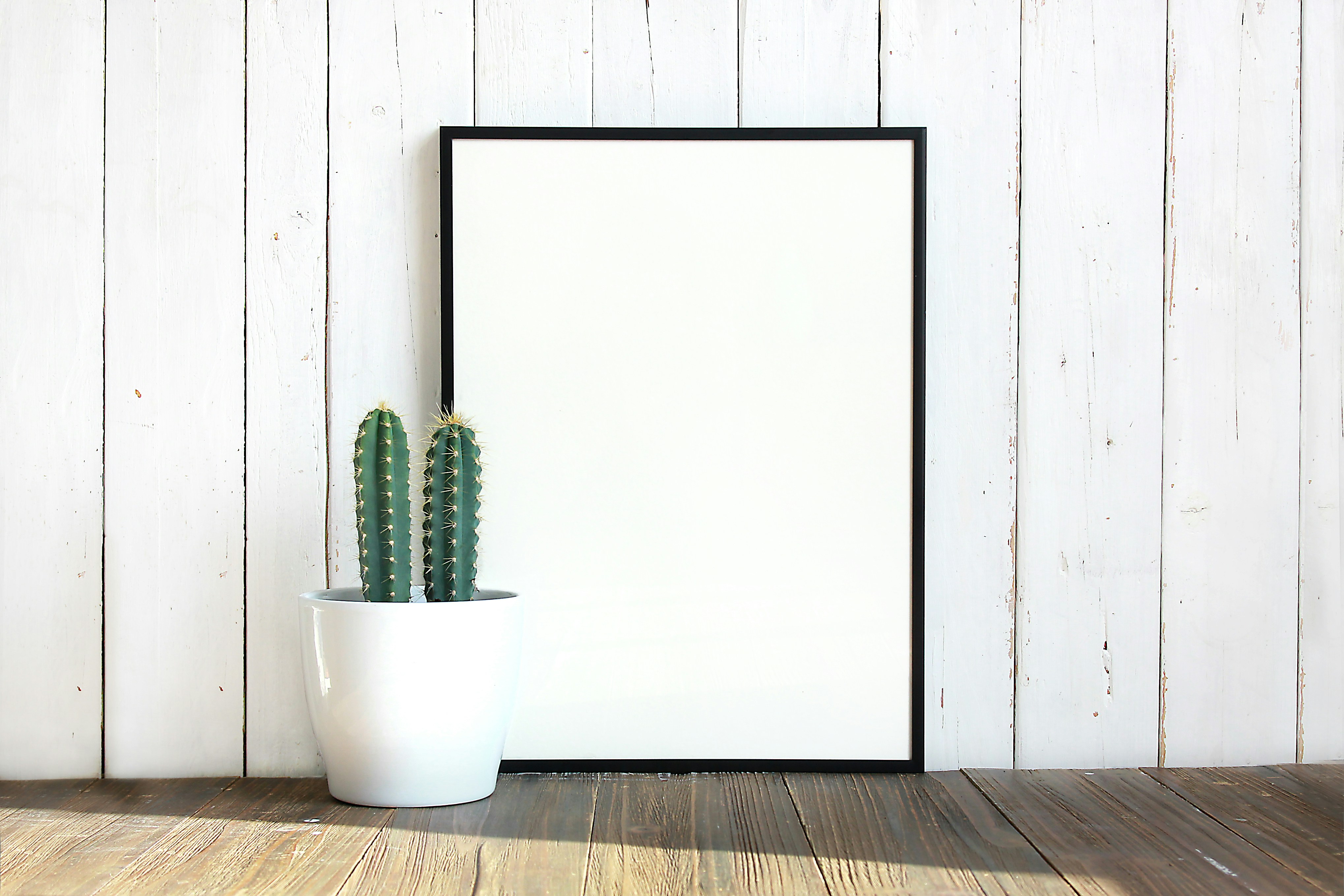 potted cactus on a white shelf in front of an empty black picture frame
